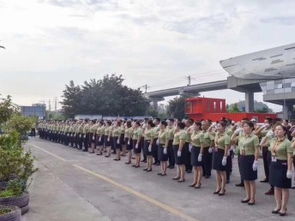 便捷学车新选择 图西南驾培集团“一处报名全城练车”重庆服务解析